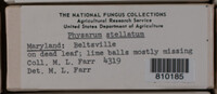 Image Associated With the Occurence